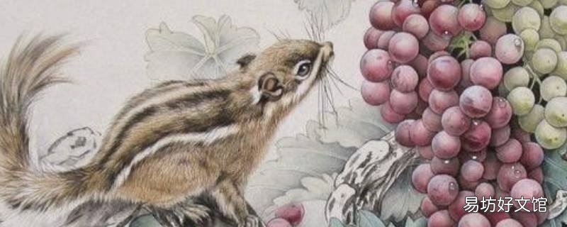 松鼠葡萄寓意(松鼠葡萄寓意 松鼠葡萄的诗句