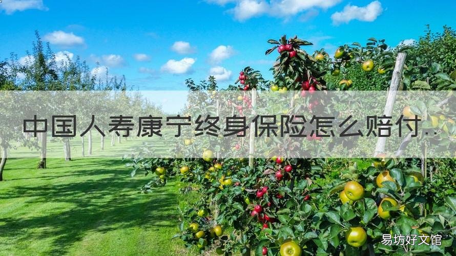 中国人寿康宁终身保险怎么赔付 中国人寿康宁终身保险理赔