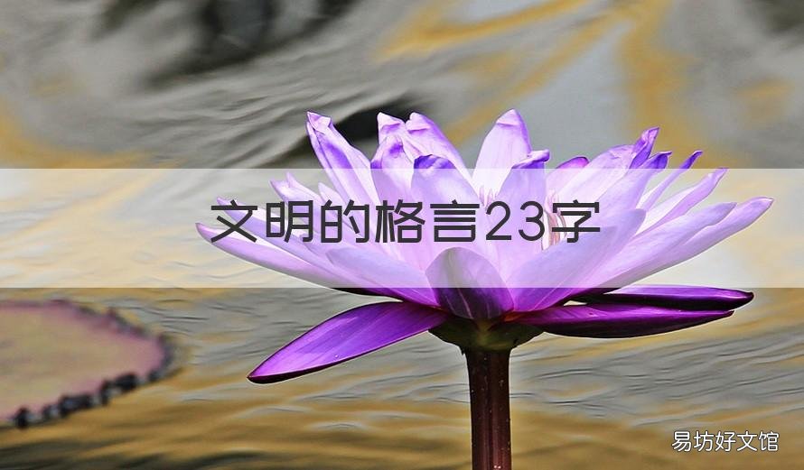 文明的格言23字 文明十三字用语