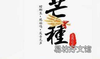 芒种节气的特点 芒种节气的特点和风俗 由来简介