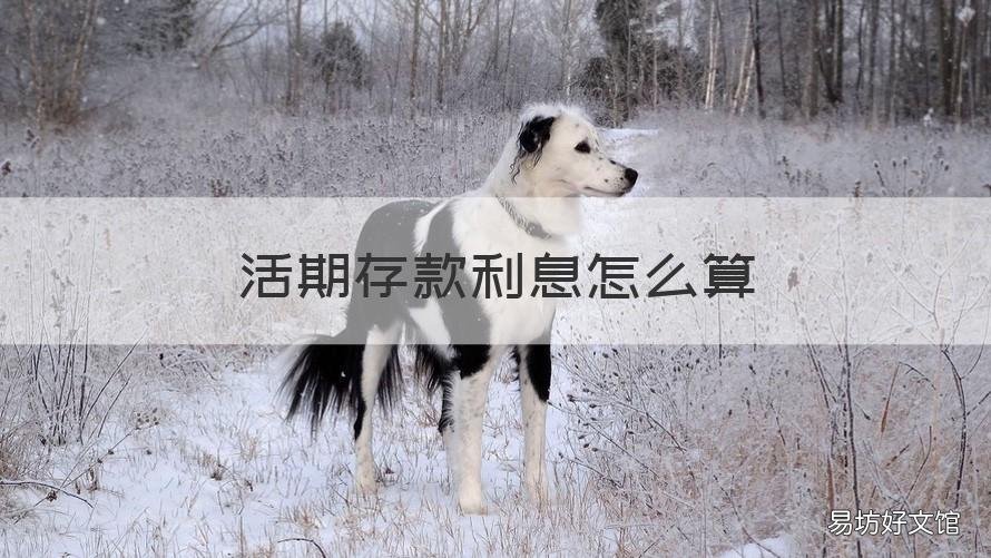 活期存款利息怎么算 活期存款利息怎么算的