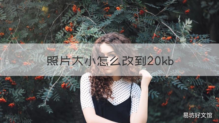 照片大小怎么改到20kb 照片大小怎么改到20kb以下,不改变像素