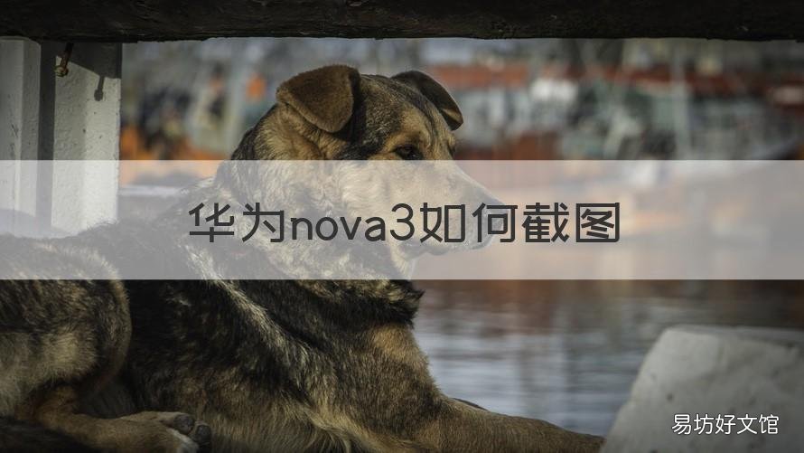 华为nova3如何截图 华为nova3截图快捷键