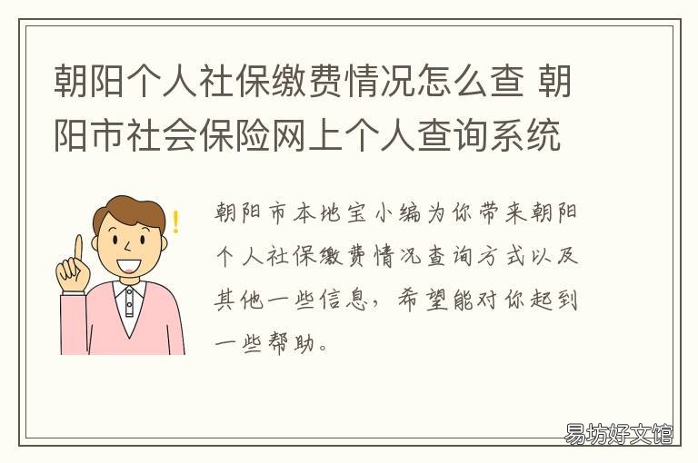 朝阳个人社保缴费情况怎么查 如何查询社保缴费记录查询 北京