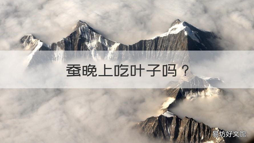 蚕晚上吃叶子吗 蚕晚上会吃桑叶吗