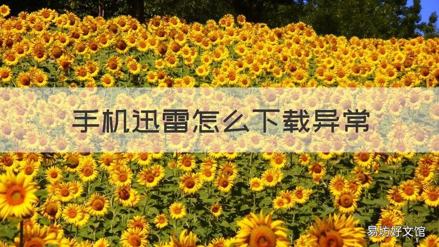 手机迅雷怎么下载异常 迅雷显示下载异常