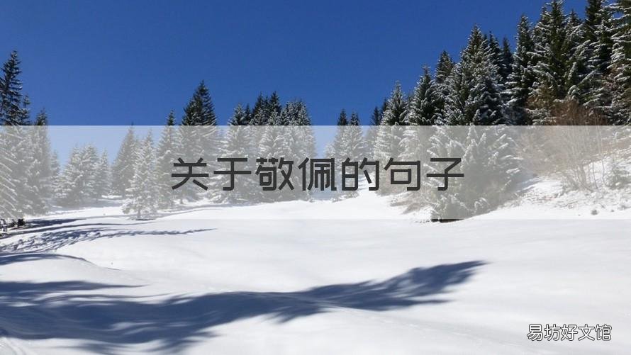 关于敬佩的句子 关于敬佩的句子摘抄