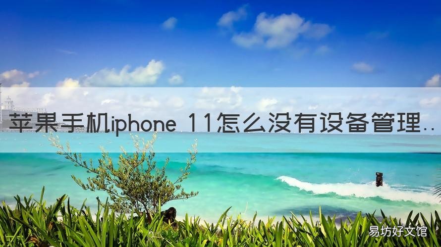 苹果手机iphone 11怎么没有设备管理 苹果11无法连接至设备