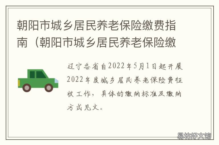 朝阳市城乡居民养老保险缴费指南 朝阳市城乡居民养老保险缴费标准
