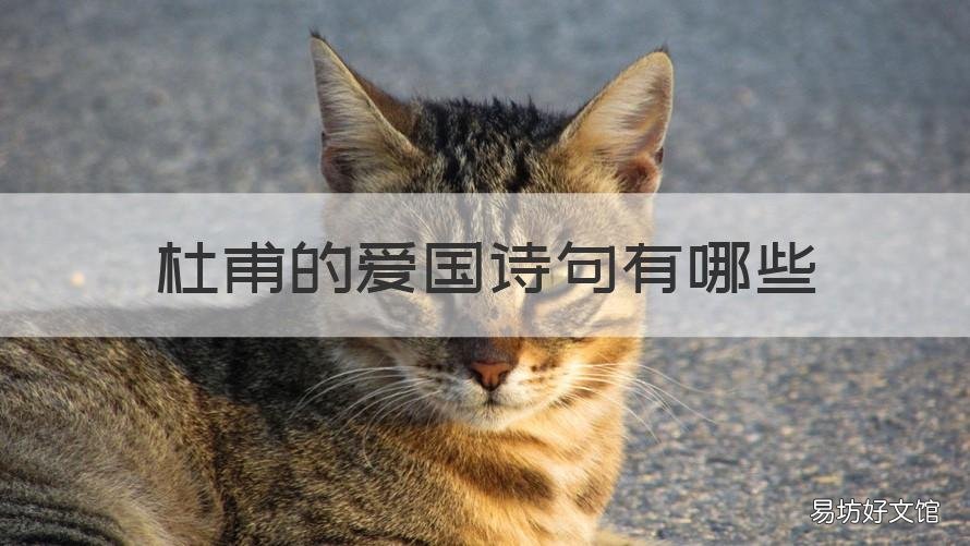 杜甫的爱国诗句有哪些 杜甫的爱国诗有哪些?
