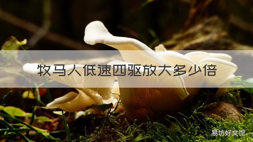 牧马人低速四驱放大多少倍 牧马人高速四驱和低速四驱的区别