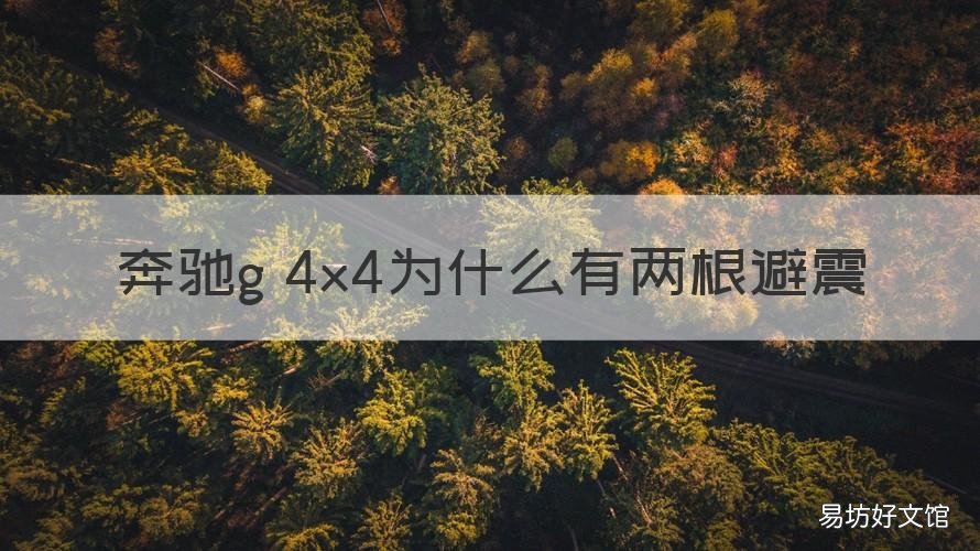 奔驰g 4x4为什么有两根避震