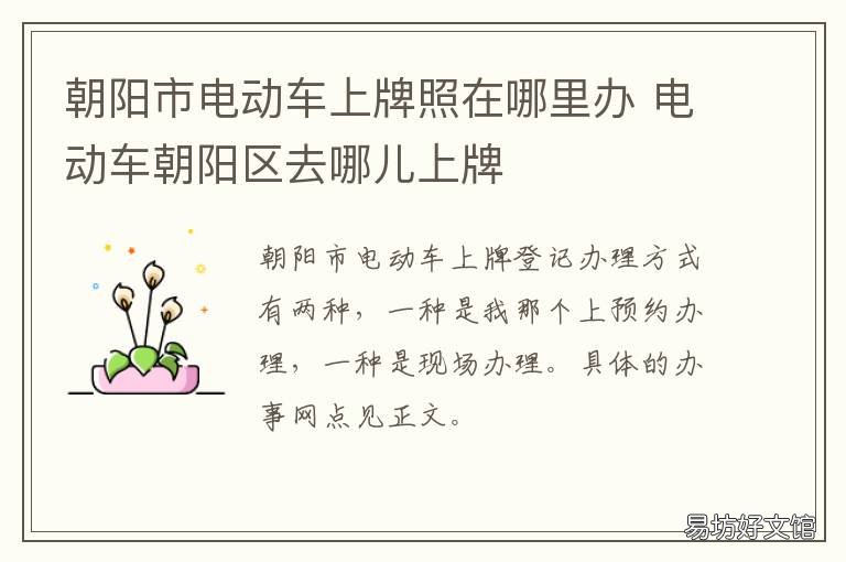 朝阳市电动车上牌照在哪里办 朝阳区电动车上牌地址
