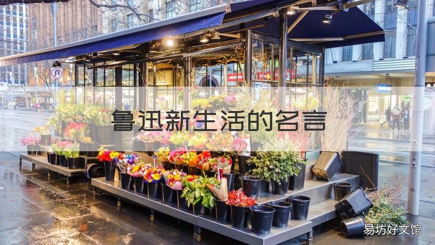 鲁迅新生活的名言 鲁迅生活名言名句大全
