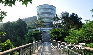 南山风景区大树叫啥树 南山风景区大树叫啥树啊