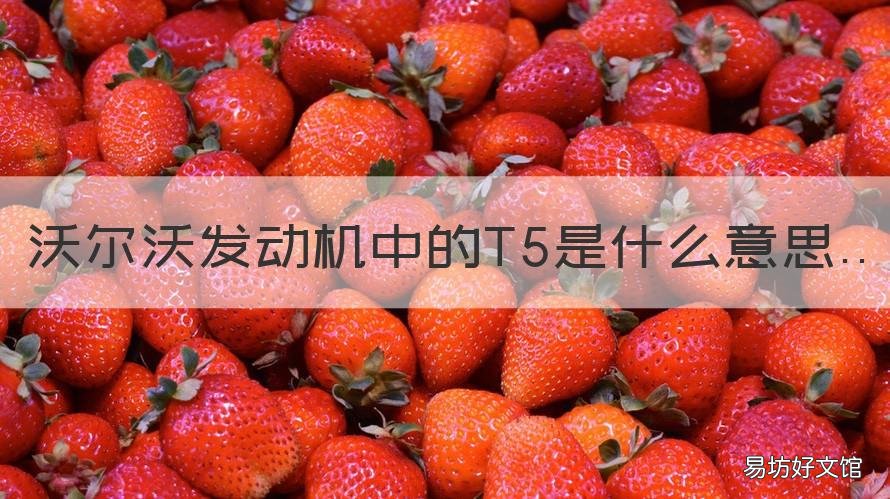 沃尔沃发动机中的T5是什么意思
