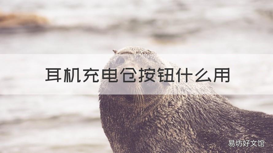 耳机充电仓按钮什么用 耳机充电仓按钮什么用啊