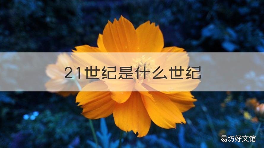 21世纪是什么世纪 21世纪是什么世纪周易