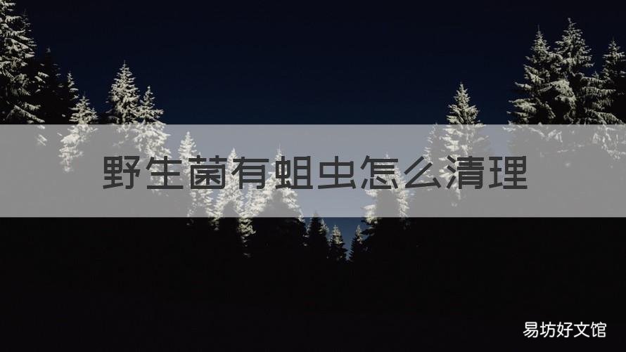 野生菌有蛆虫怎么清理 野生菌里有蛆怎么办