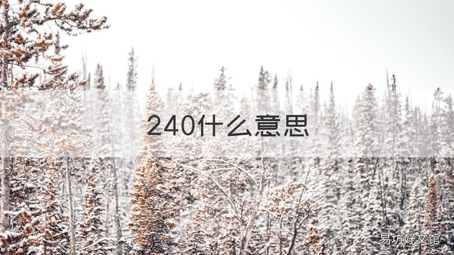 240什么意思 2406是什么意思