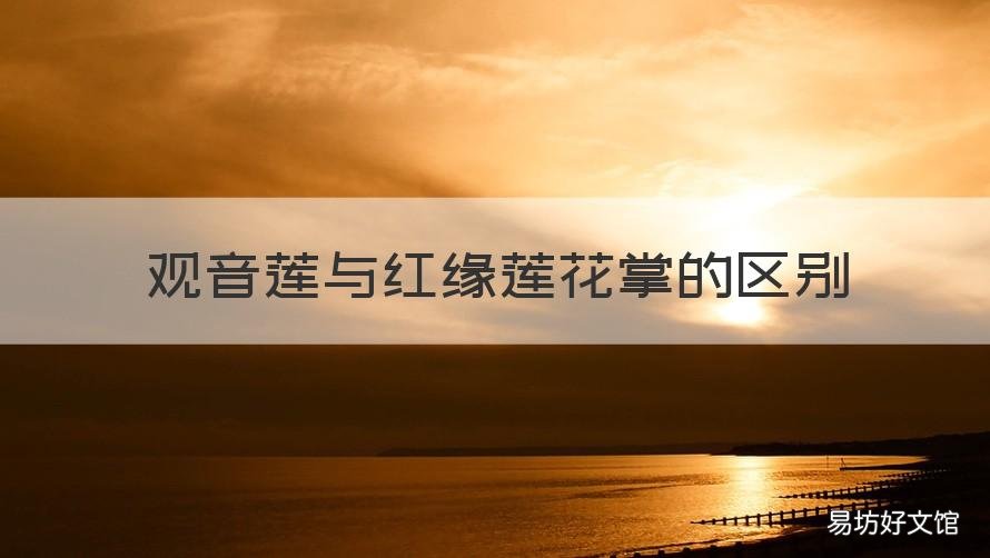 观音莲与红缘莲花掌的区别 莲花掌和玉龙观音的区别