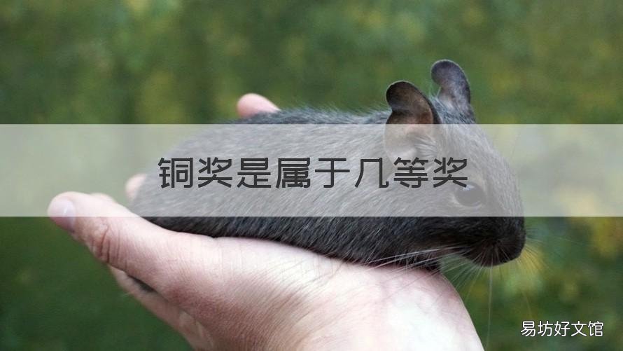 铜奖是属于几等奖
