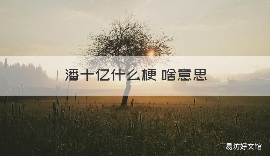 潘十亿什么梗 啥意思