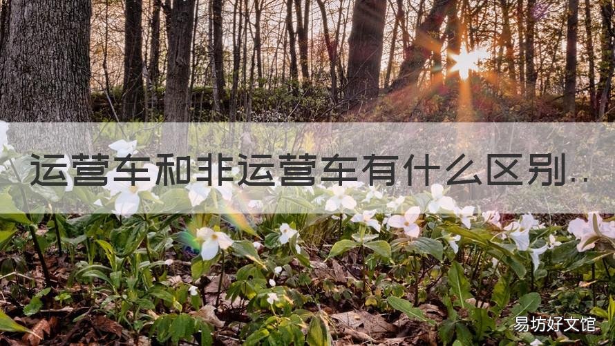 运营车和非运营车有什么区别 营运车与非营运的区别