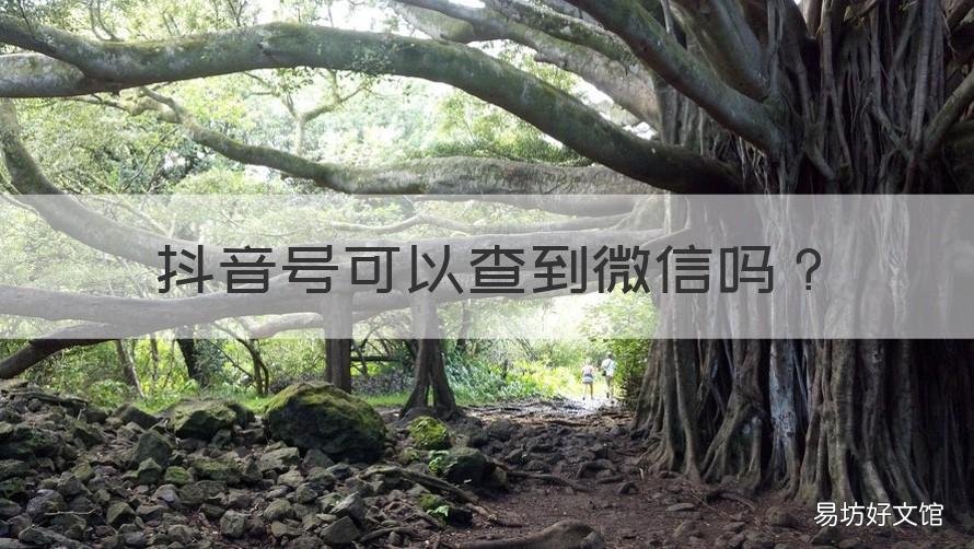 抖音号可以查到微信吗 通过微信能查到抖音号吗