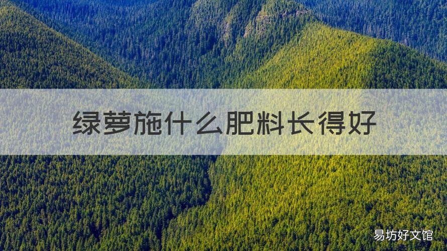 绿萝施什么肥料长得好 给绿萝施什么肥长得好