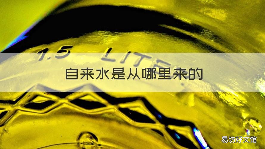 自来水是从哪里来的 城市的自来水是从哪里来的