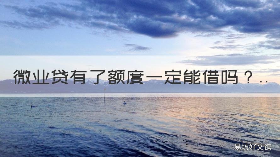 微业贷有了额度一定能借吗 微业贷有人借过吗