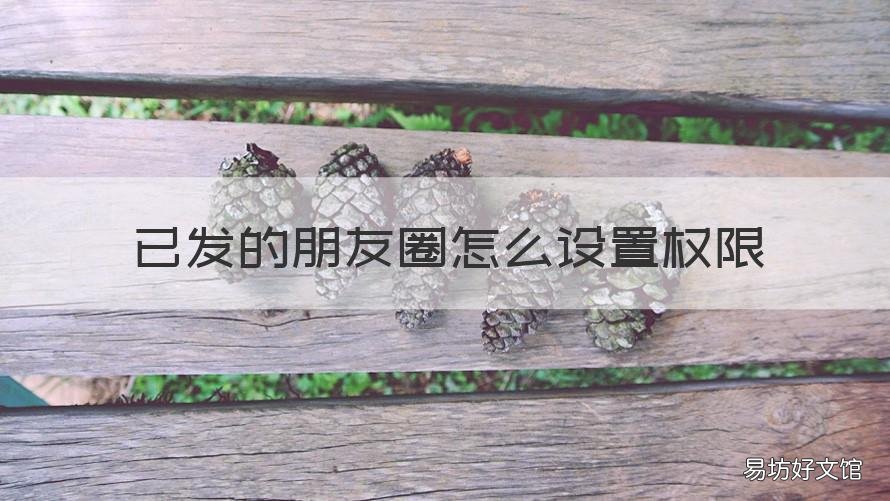 已发的朋友圈怎么设置权限 如何把已经发的朋友圈设置权限