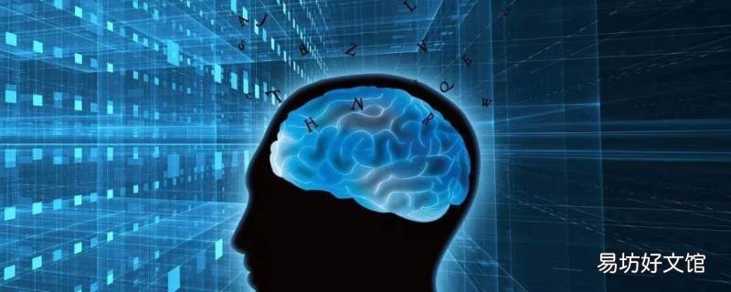 心智技能的成分 心智技能是什么