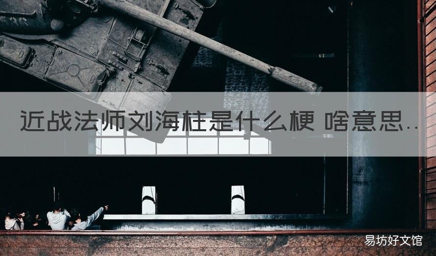 近战法师刘海柱是什么梗 啥意思