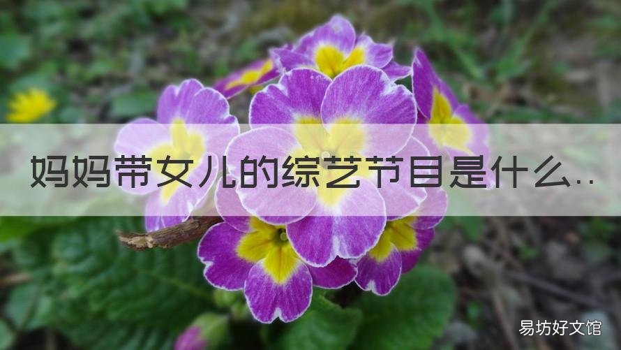 妈妈带女儿的综艺节目是什么 妈妈带女儿的综艺节目是什么电视剧