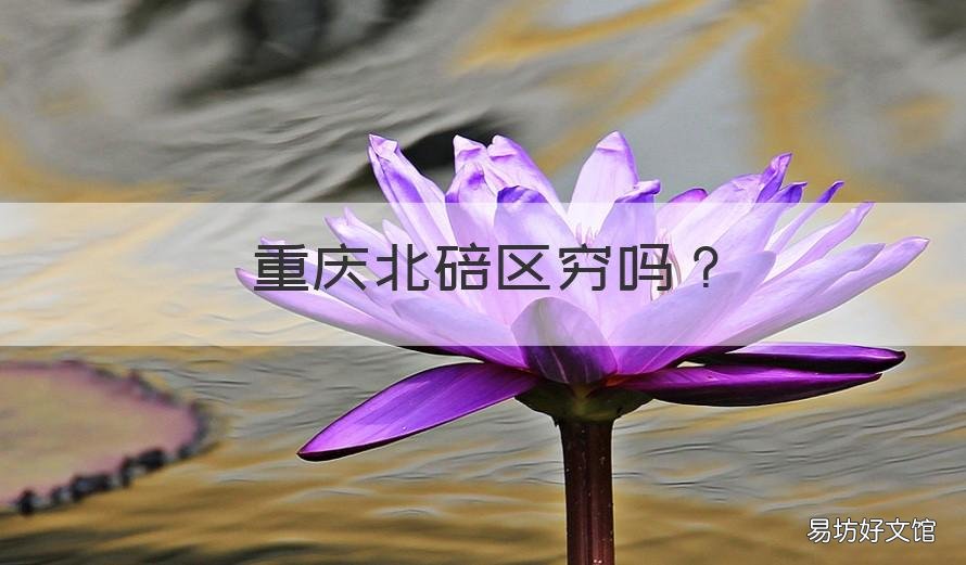 重庆北碚区穷吗 重庆北碚好不好