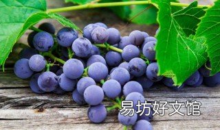 养肺最好的水果 养肺最好的水果是什么