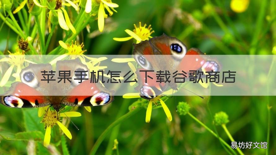 苹果手机怎么下载谷歌商店 苹果手机可以下载谷歌商店