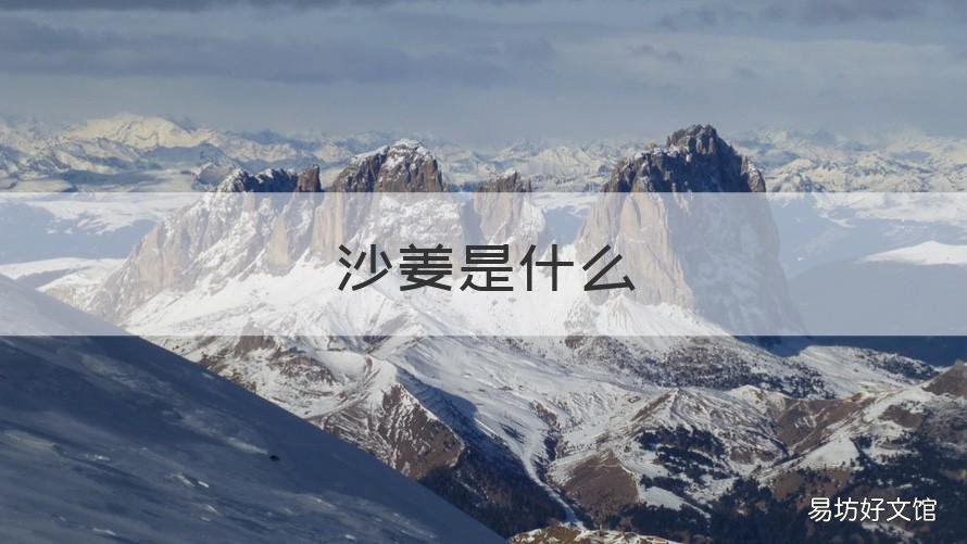 沙姜是什么 沙姜是什么中药