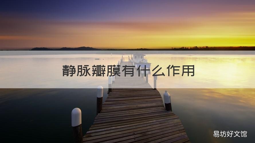 静脉瓣膜有什么作用 血管瓣膜起什么作用