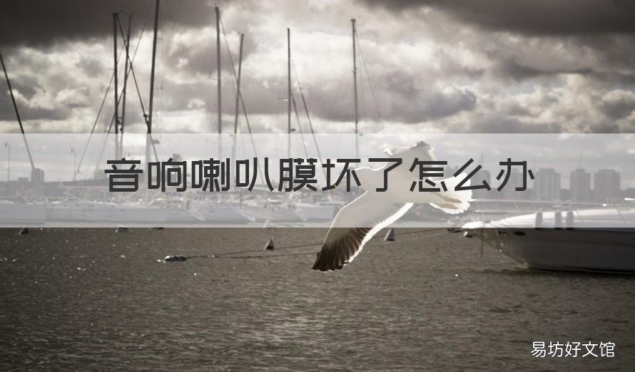 音响喇叭膜坏了怎么办 音响喇叭膜坏了怎么办视频