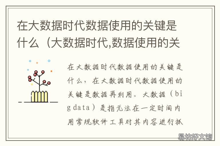 在大数据时代数据使用的关键是什么 大数据时代数据使用的关键性