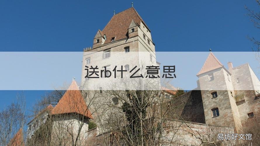 送rb什么意思 rbr啥意思