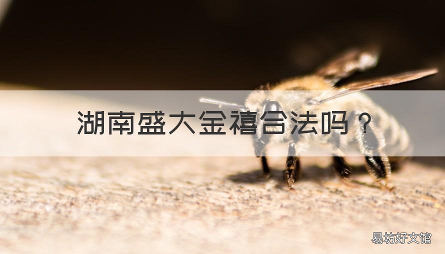 湖南盛大金禧合法吗 湖南盛大金禧投资可靠吗