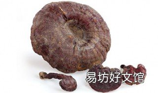灵芝的种植条件方法 种植灵芝需要什么条件
