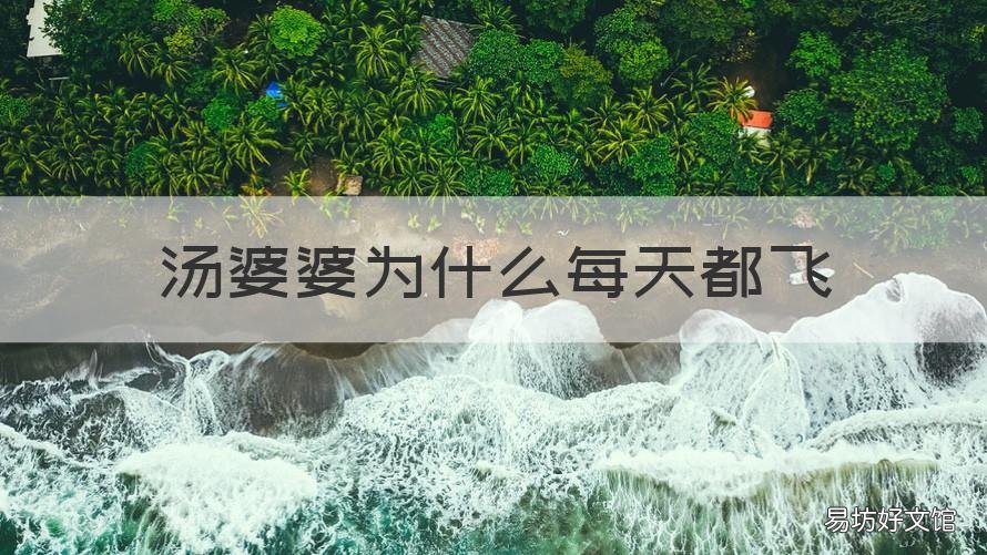 汤婆婆为什么每天都飞 汤婆婆每天飞出去干嘛