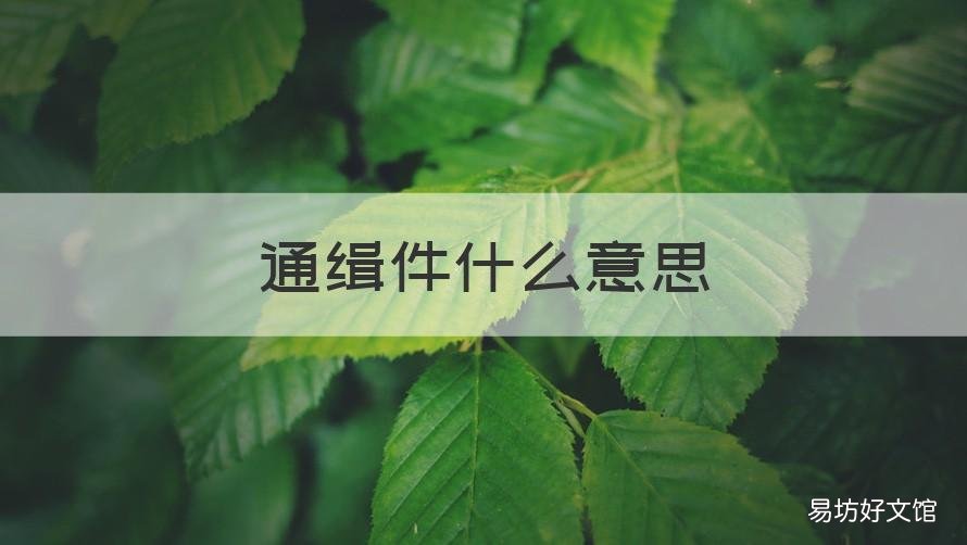 通缉件什么意思