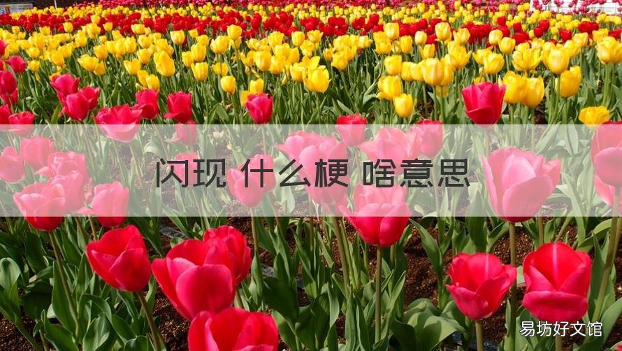 闪现 什么梗 啥意思