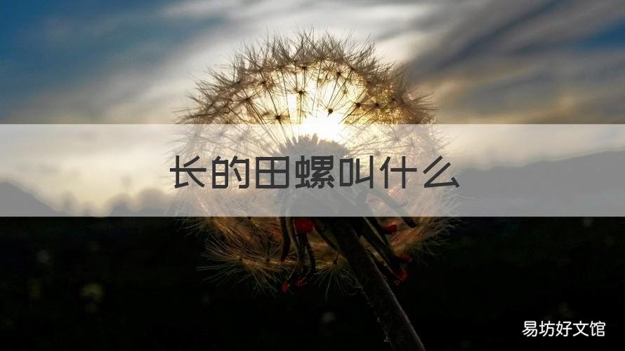 长的田螺叫什么 长田螺叫什么钉螺